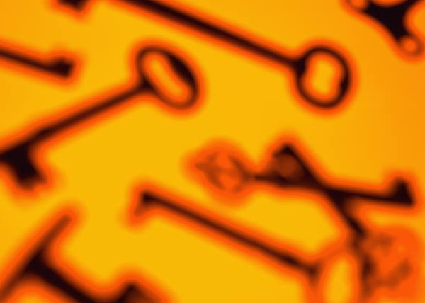 In Latin America, IT security remains a concern