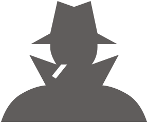 Preventing IT Fraud in 2013